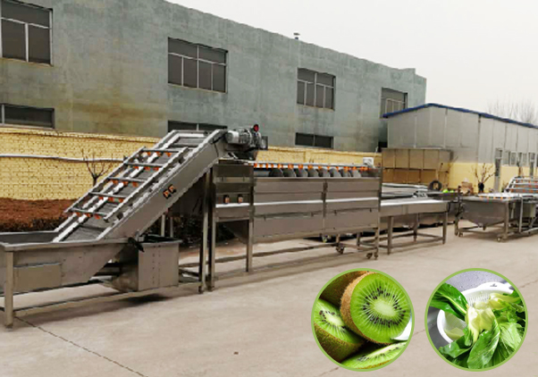果蔬加工生产线—Fruit and vegetable processing line